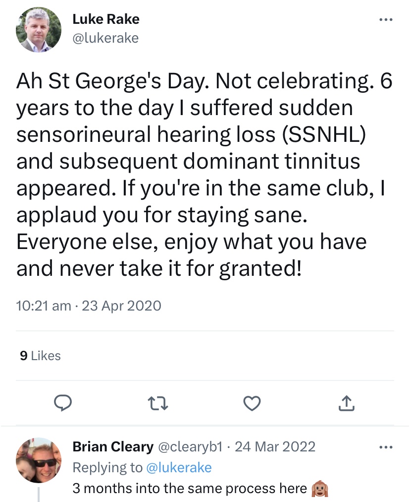 Ah St George's Day. Not celebrating. 6 years to the day I suffered sudden sensorineural hearing loss (SSNHL) and subsequent dominant tinnitus appeared. If you're in the same club, I applaud you for staying sane. Everyone else, enjoy what you have and never take it for granted!